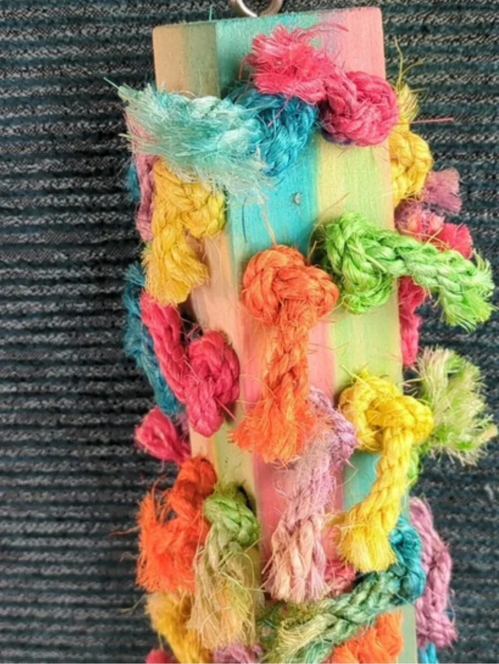 For Pet Rescue! All Living Things Sissal Knot Wood Block Bird Toy